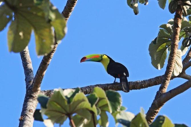 Casa Paraiso - * La Fortuna